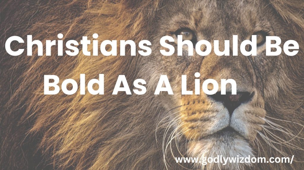 Christians Should Be Bold As A Lion